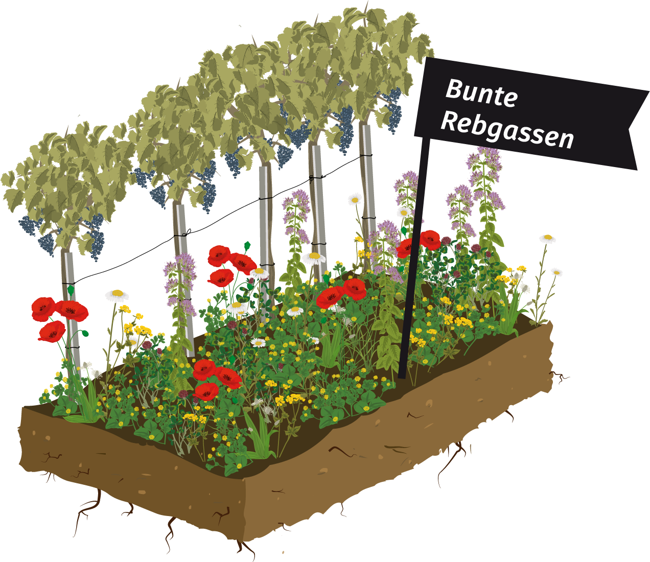 Symbolbild Maßnahme Bunte Rebgasse