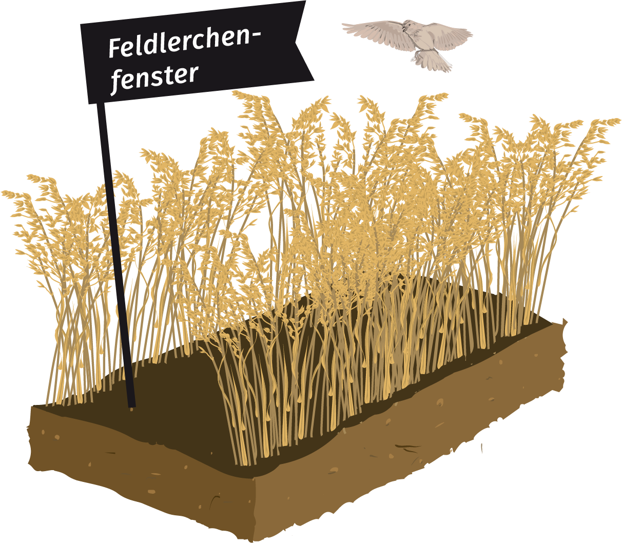 Symbolbild Maßnahme Feldlerchenfenster